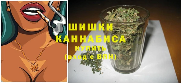 PSILOCYBIN Зеленодольск