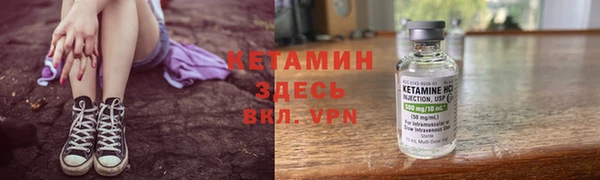 прущие грибы Зеленокумск
