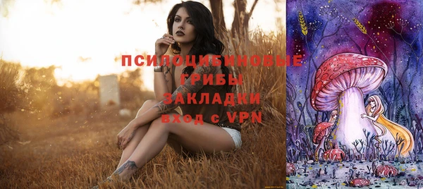 прущие грибы Зеленокумск