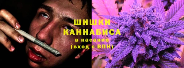 PSILOCYBIN Зеленодольск
